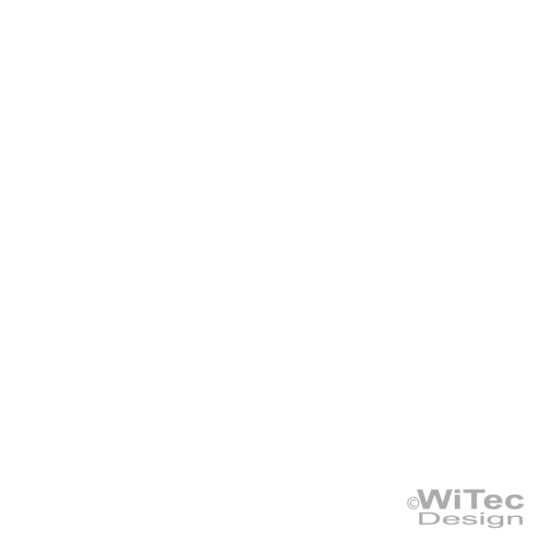 AN150 Autoaufkleber Gecko