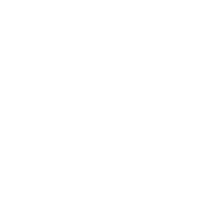 Wohmobil Aufkleber Die schnellen Vögel | Raben