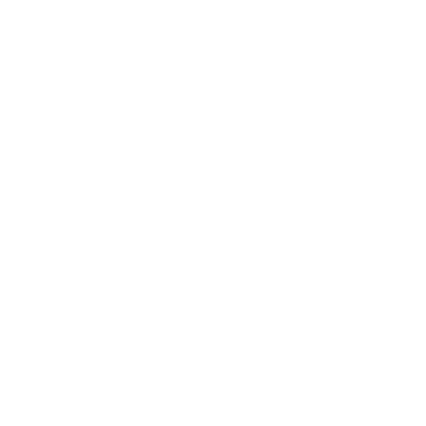 Wohmobil Aufkleber Schildkröte Ich kann nicht schneller Turtle Womo