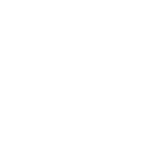 Wohnmobil Aufkleber Lustige Vögel