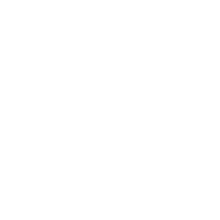 Wohnmobil Aufkleber Adler Eagle Wild and free Camper Wohnwagen