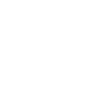Aufkleber Wohnmobil Hetz mich nicht Schildkröte 