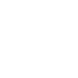 Aufkleber Wohnmobil NEVER SAY NO 