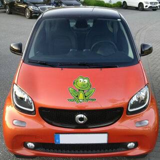 Lustiger Frosch Kröte Auto Aufkleber Sticker