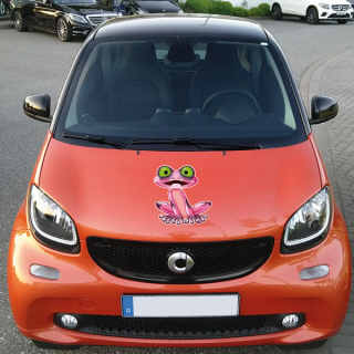 Frosch Kröte Pink Frog Auto Aufkleber Fun
