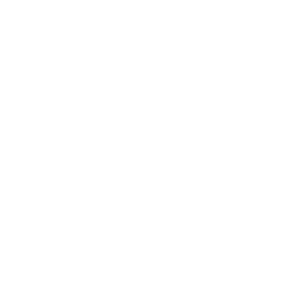 Autoaufkleber Aufkleber Biker Motorrad Born to Ride