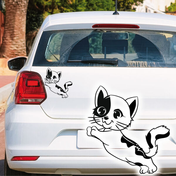 Drollige Katze Kätzchen Aufkleber Auto