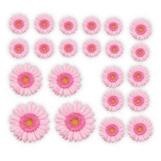 Gerbera Blumen Digitaldruck Auto Aufkleber