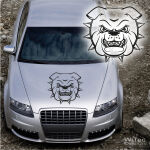 Bulldogge Auto Aufkleber Motorhaube