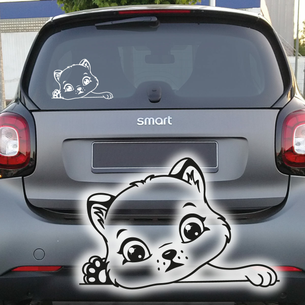Katze Kätzchen Kitty Auto Aufkleber Sticker