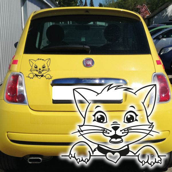 Katze Kätzchen Auto Aufkleber