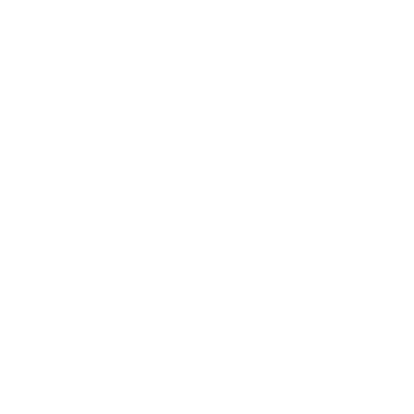 Tiger Tigerkopf Aufkleber Motorhaube