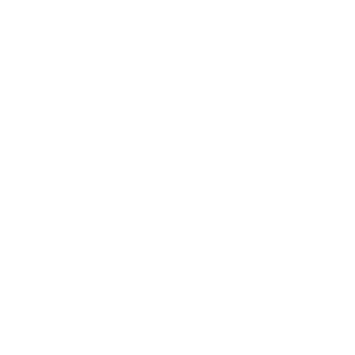 Border Collie Auto Aufkleber Hundesport