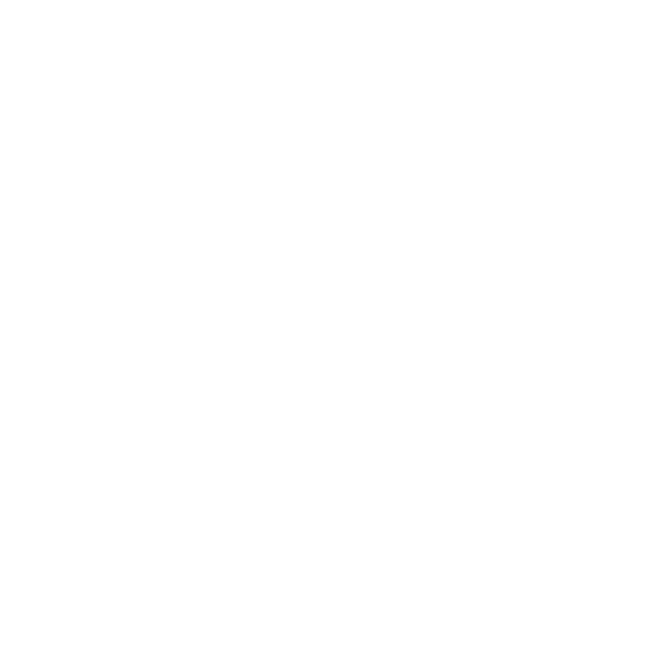 Agility Border Collie Wunschtext Auto Aufkleber