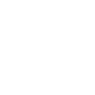 Agility Border Collie Wunschtext Auto Aufkleber