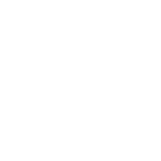 Bichon Frise Malteser Auto Aufkleber