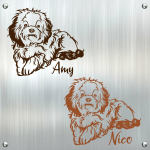 Bichon Frise Bolonka Zwetna Auto Aufkleber