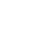 Bichon Frise Bolonka Zwetna Auto Aufkleber
