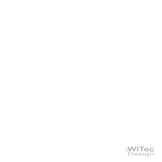 Cavalier King Charles Spaniel Auto Aufkleber
