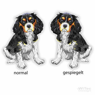 Cavalier King Charles Spaniel Hundeaufkleber