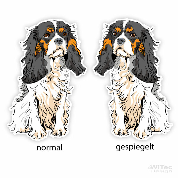 Cavalier King Charles Spaniel Auto Aufkleber