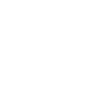 Airedale Terrier Name Pfoten Auto Aufkleber