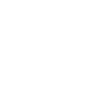 Goldendoodle Auto Aufkleber Name Pfoten