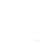 French Bulldogs Französische Bulldogge Hunde Aufkleber