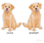 Golden Retriever Hundeaufkleber Sticker