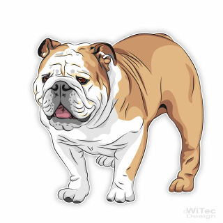 Englische Bulldogge Hundeaufkleber