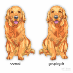 Golden Retriever Hundeaufkleber Sticker