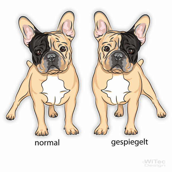 Französische Bulldogge Hundeaufkleber Barry