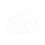 Englische Bulldogge OEB Auto Aufkleber Hunde