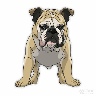 Englische Bulldogge Hundeaufkleber