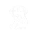 Labrador Name Auto Aufkleber Hunde