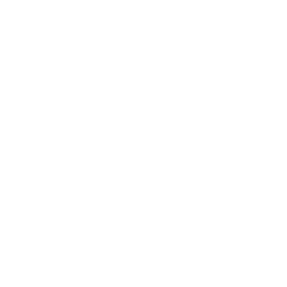 Englische Bulldogge Auto Aufkleber Hunde