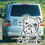 Englische Bulldogge Auto Aufkleber Hunde