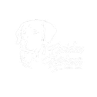 Golden Retriever Auto Aufkleber Hunde