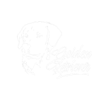 Golden Retriever Auto Aufkleber Hunde