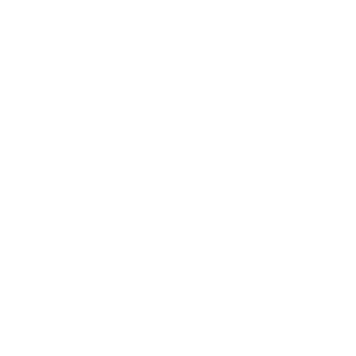 Irish Wolfhound Hundeaufkleber Windhund Pfoten