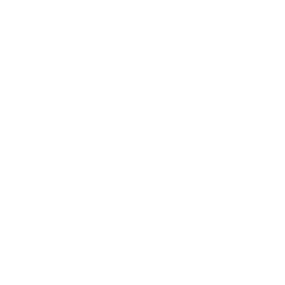 Dalmatiner Hunde Aufkleber Wuschname