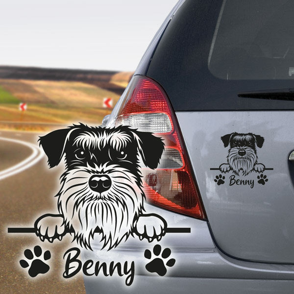 Schnauzer Zwergschnauzer Auto Aufkleber