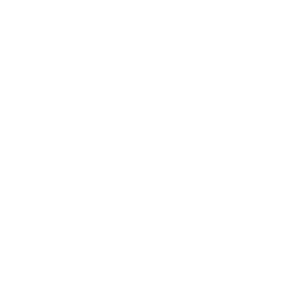 Schnauzer Zwergschnauzer Auto Aufkleber