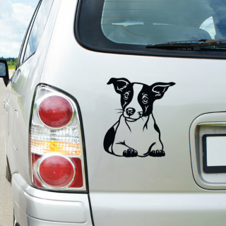 Jack Russell Terrier Auto Aufkleber