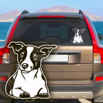Jack Russell Terrier Auto Aufkleber