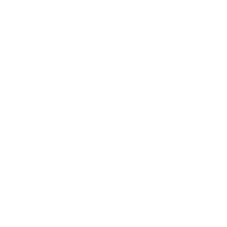 Lagotto Romagnolo Pfoten Name Auto Aufkleber