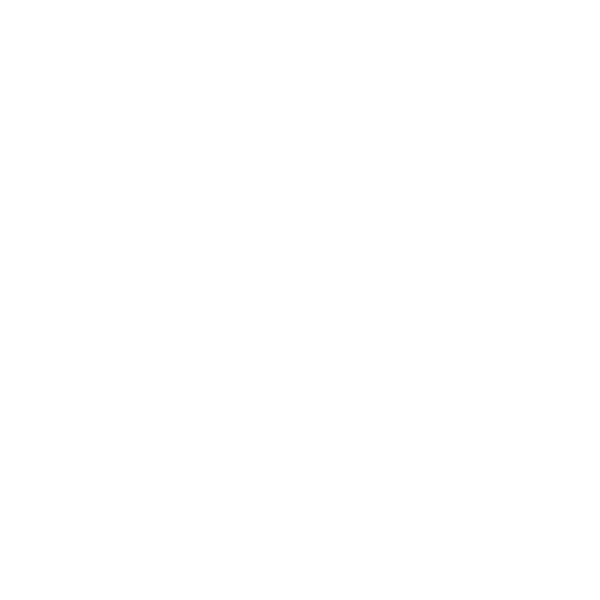 Lagotto Romagnolo Name Autoaufkleber