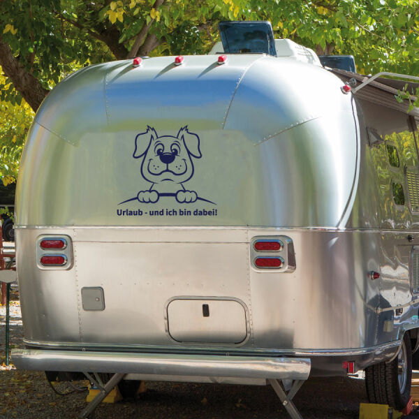 Wohnmobil Hund Urlaub immer dabei Wohnwagen Camper