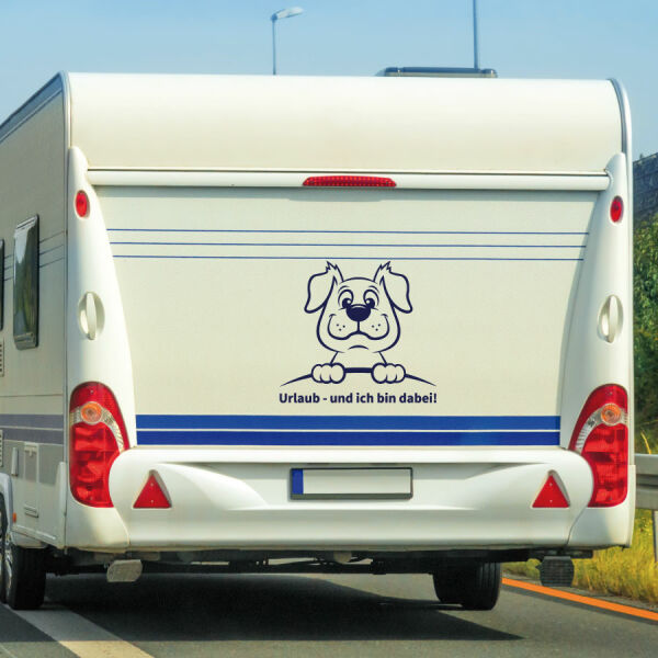 Wohnmobil Hund Urlaub immer dabei Wohnwagen Camper